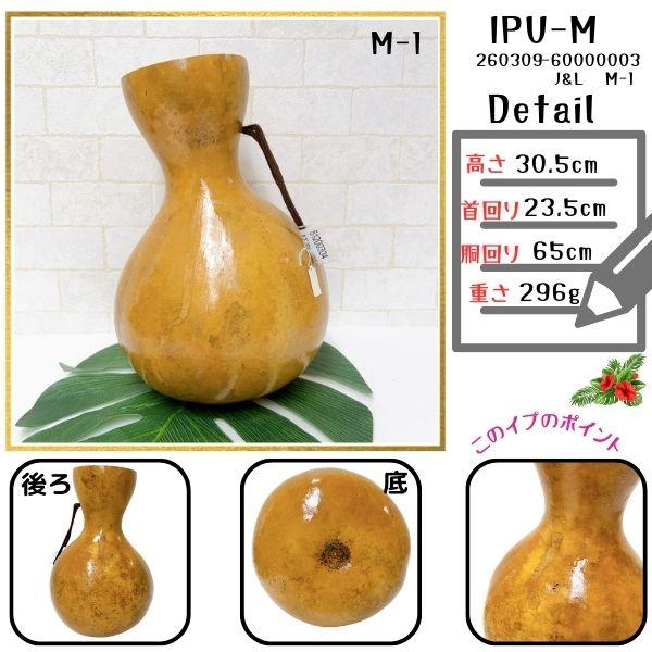 イプ Mサイズ フラ フラダンス 楽器 ハワイ ハワイアン 打楽器