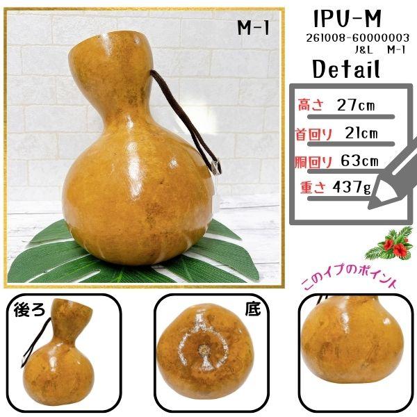 イプ Mサイズ フラダンス 楽器 ハワイ直輸入 【写真の現物をお届け