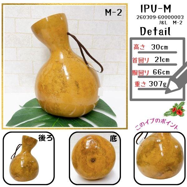 イプ Mサイズ フラ フラダンス 楽器 ハワイ ハワイアン 打楽器