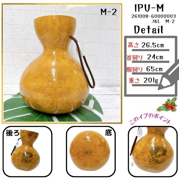 天然素材 フラダンス イプ 楽器 フラ イプ Mサイズ フラダンス 楽器 ハワイ直輸入 【写真の現物をお届け