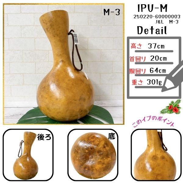 イプ Mサイズ フラ フラダンス 楽器 ハワイ ハワイアン 打楽器