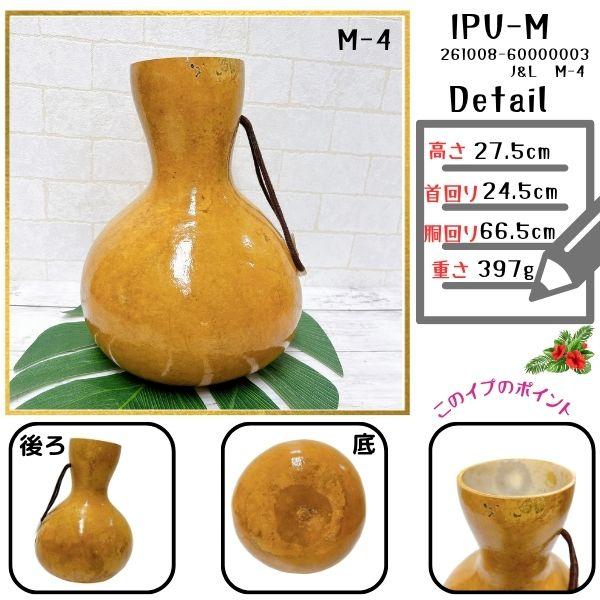 イプ Mサイズ フラダンス 楽器 ハワイ直輸入 【写真の現物をお届け