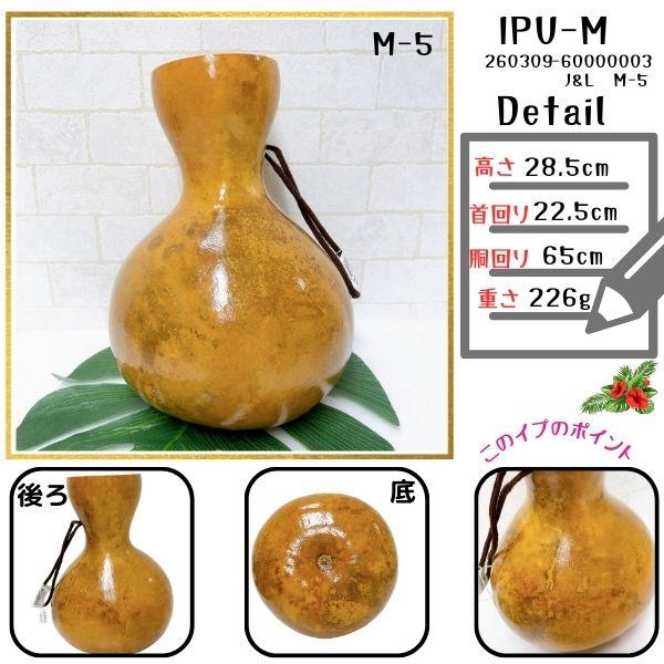 イプ　楽器　フラダンス イプ Mサイズ フラ フラダンス 楽器 ハワイ ハワイアン 打楽器