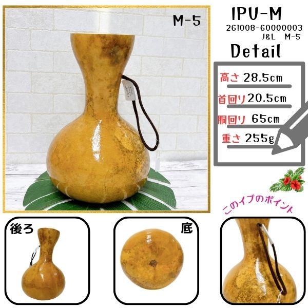 イプ Mサイズ フラダンス 楽器 ハワイ直輸入 【写真の現物をお届け