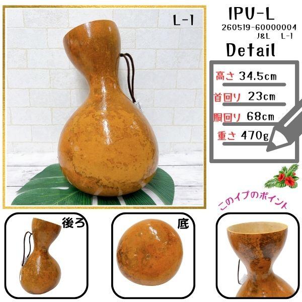 イプ Lサイズ フラ フラダンス 楽器 ハワイ ハワイアン 打楽器
