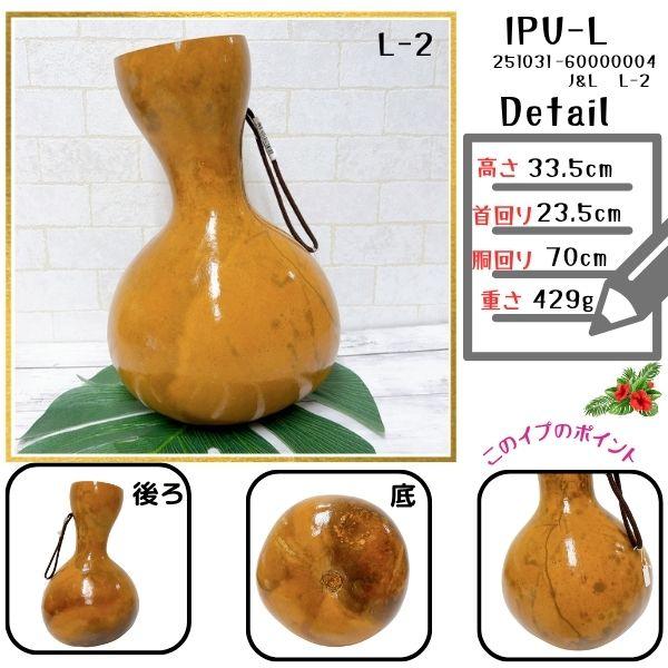 イプ L & ケース フラ楽器　ハワイ イプ Lサイズ フラ フラダンス 楽器 ハワイ ハワイアン 打楽器