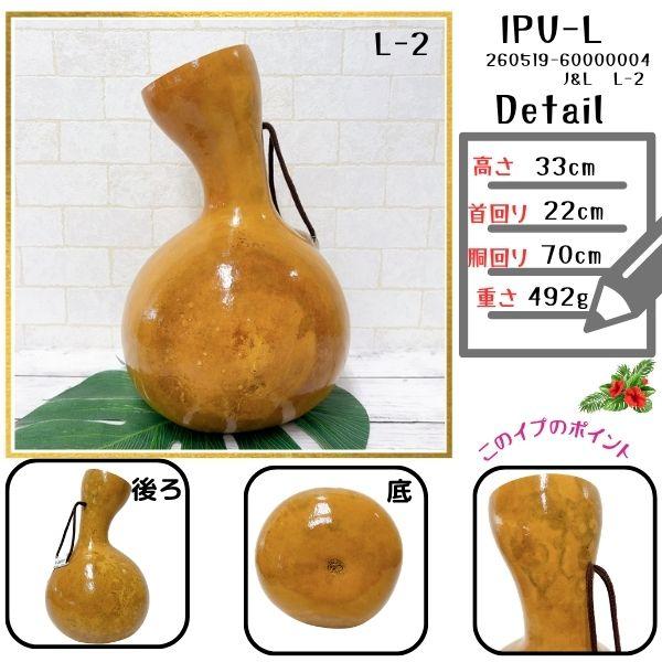 天然素材 フラダンス用　イプ イプ Lサイズ フラ フラダンス 楽器 ハワイ ハワイアン 打楽器
