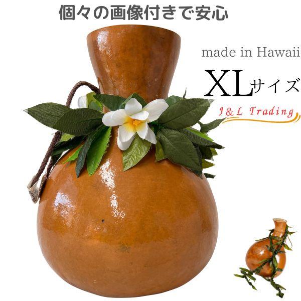 フラダンス用 イプ Ipu 打楽器 イプ XLサイズ フラ フラダンス 楽器 ハワイ ハワイアン 打楽器