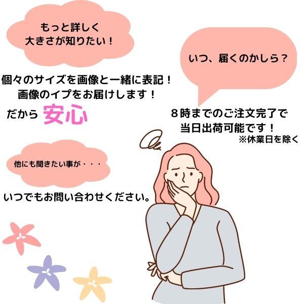 イプ Mサイズ フラ フラダンス 楽器 ハワイ ハワイアン 打楽器