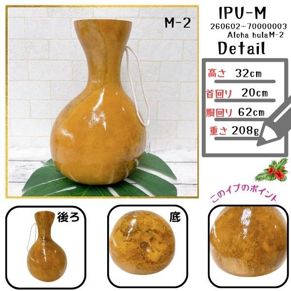 イプ Mサイズ フラ フラダンス 楽器 ハワイ ハワイアン 打楽器