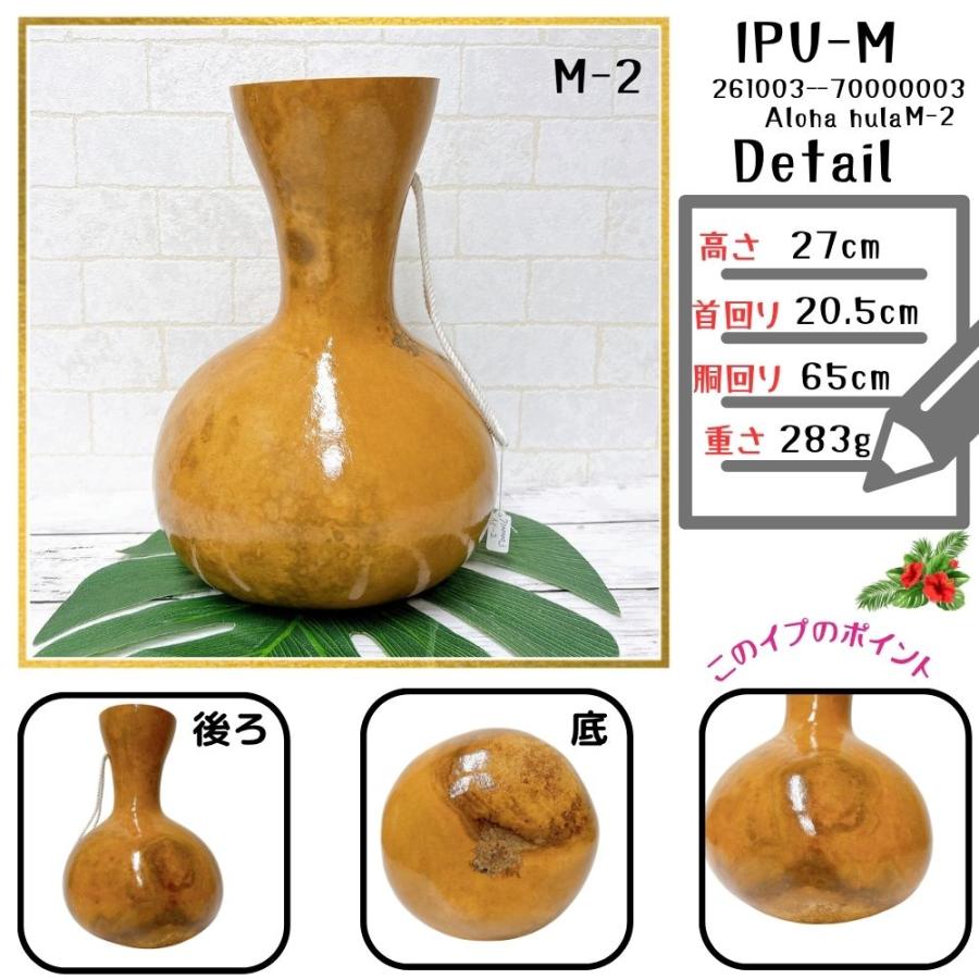 イプ Mサイズ フラ フラダンス 楽器 ハワイ ハワイアン 打楽器