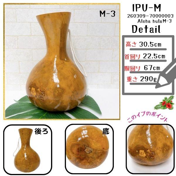 イプ Mサイズ フラ フラダンス 楽器 ハワイ ハワイアン 打楽器