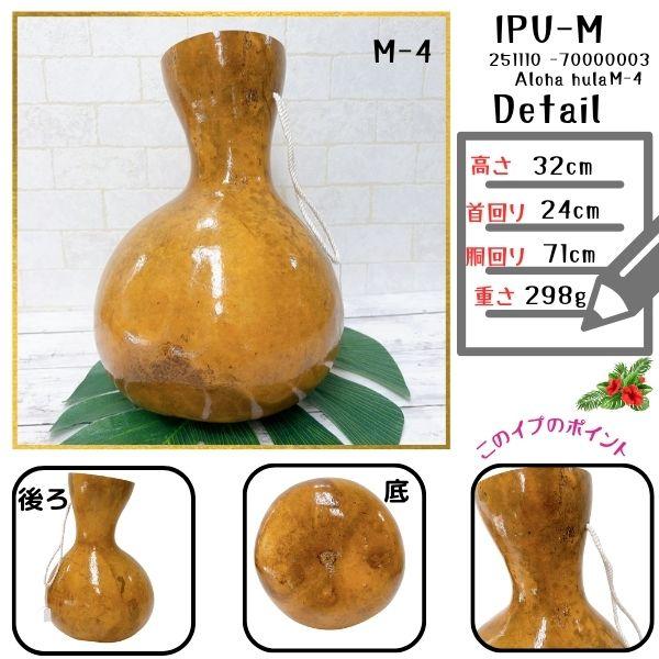 イプ Mサイズ フラ フラダンス 楽器 ハワイ ハワイアン 打楽器