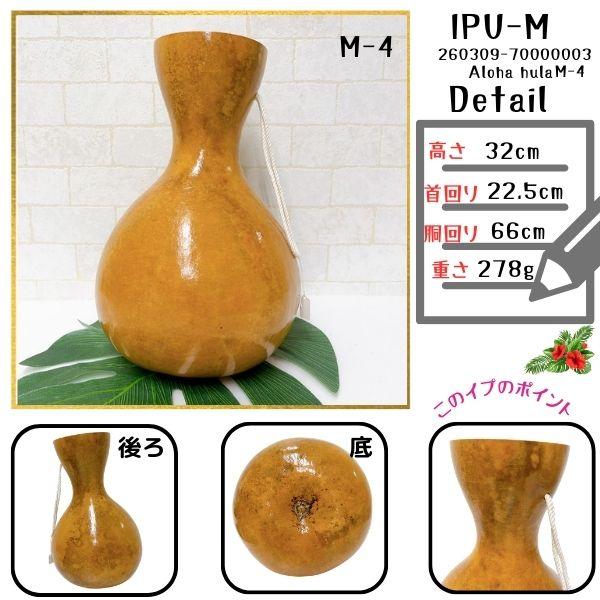 イプ Mサイズ フラ フラダンス 楽器 ハワイ ハワイアン 打楽器