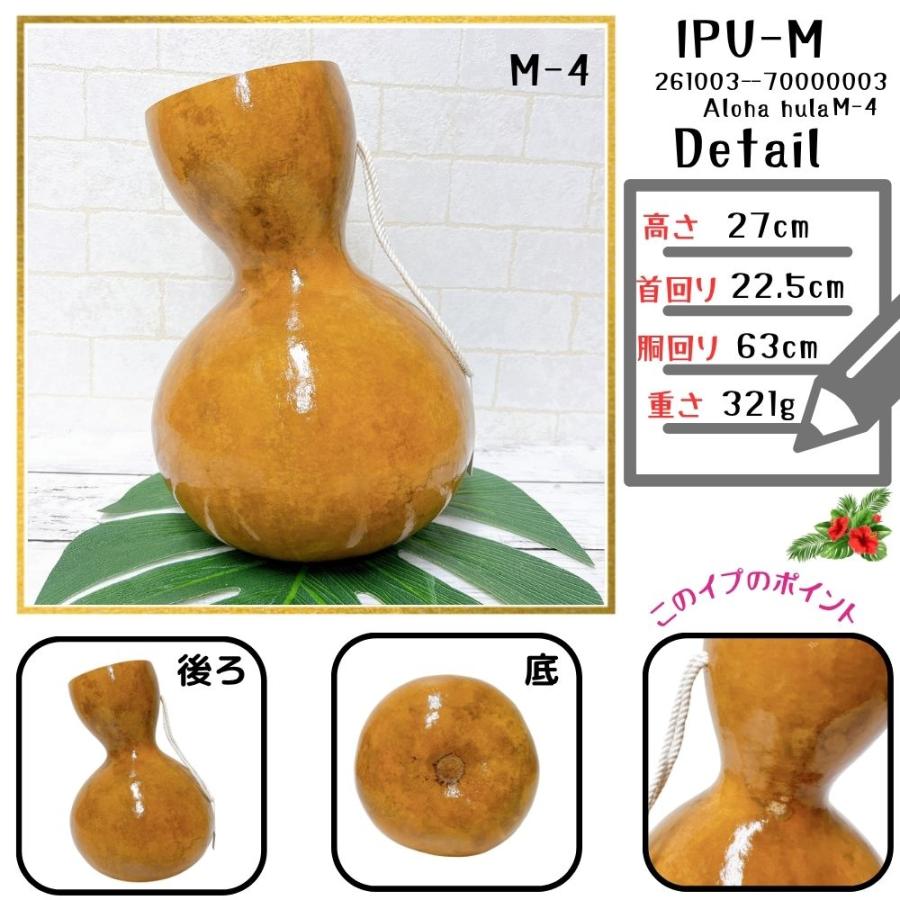 フラ　フラダンス イプ 楽器 Hula Ipu ハワイ　Hawaii イプ Mサイズ フラ フラダンス 楽器 ハワイ ハワイアン 打楽器
