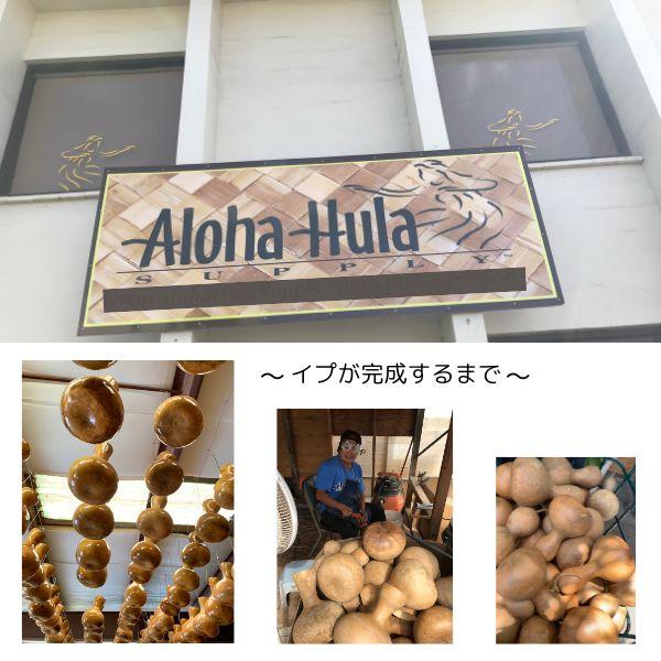 イプ Mサイズ フラ フラダンス 楽器 ハワイ ハワイアン 打楽器