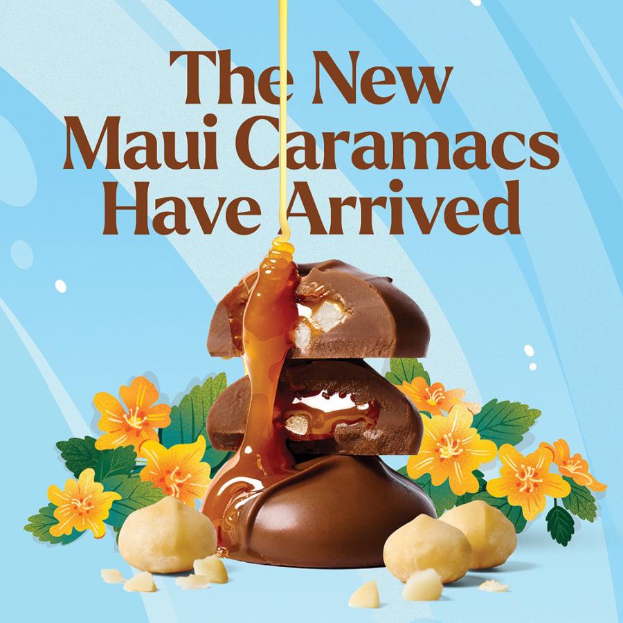 HAWAII購入ＣＤ１７枚+おまけ2枚　ハワイアンお好きな方へ 楽天市場】【ﾘﾆｭｰｱﾙ盤】新品 ベスト・オブ・ハワイアン 101 (CD4枚組