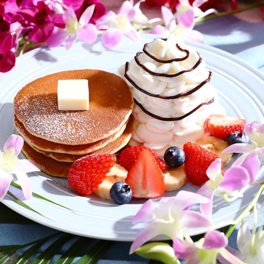 Hawaiian Host ハワイ ハワイアンホースト チョコレートソース