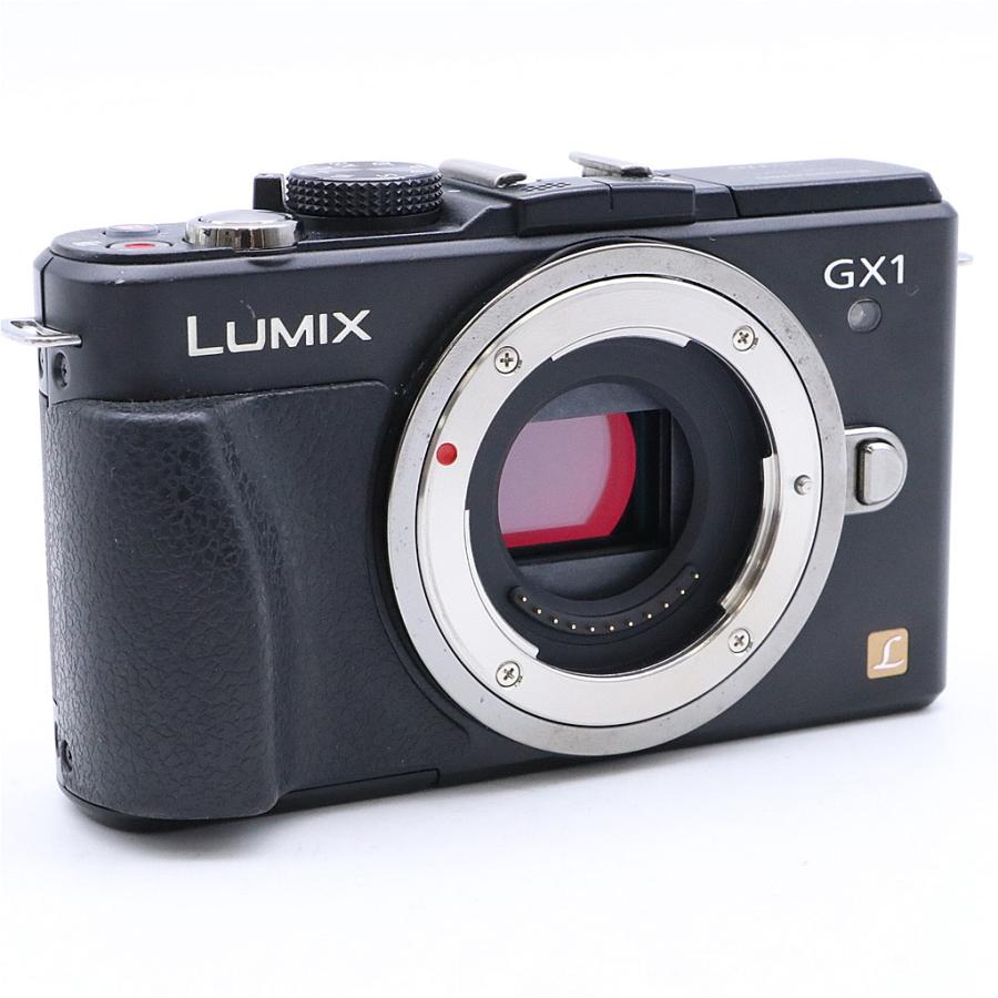 Panasonic（パナソニック） Panasonic Lumix DMC-GX1 レンズキット