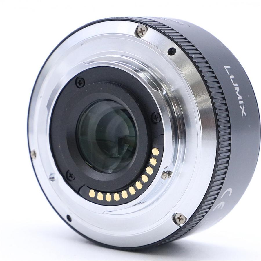 Panasonic（パナソニック） Panasonic Lumix DMC-GX1 レンズキット
