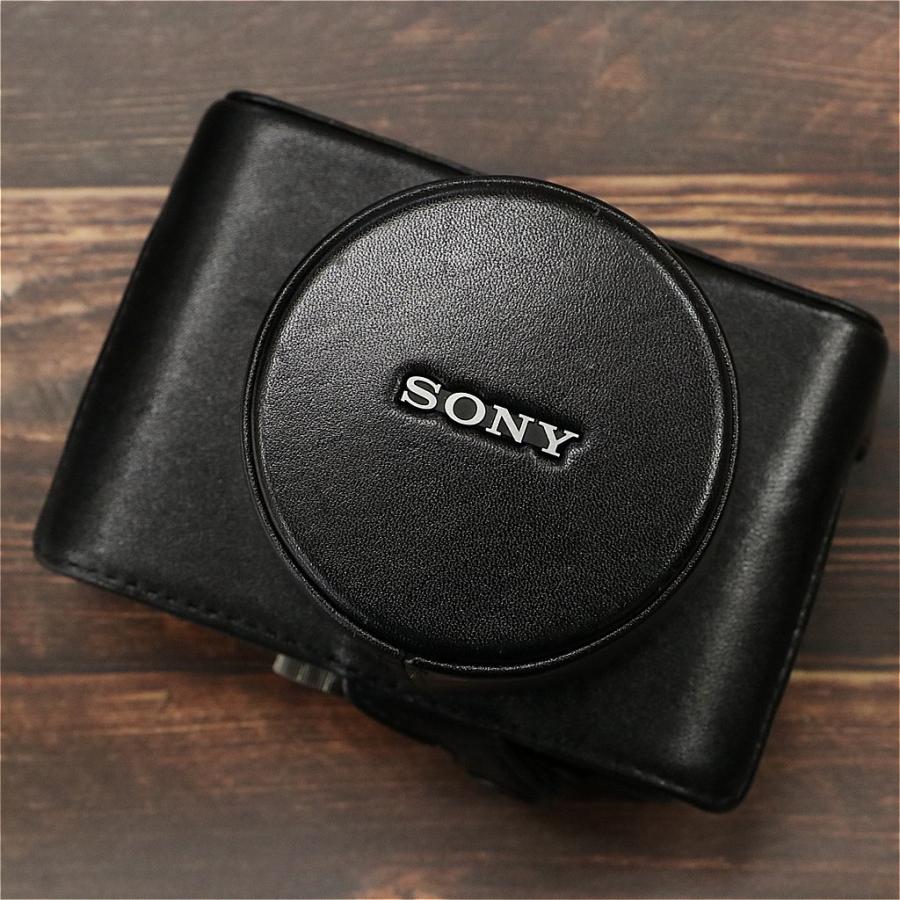 Sony LCJ-RXB ジャケットケース #6624 | SONY