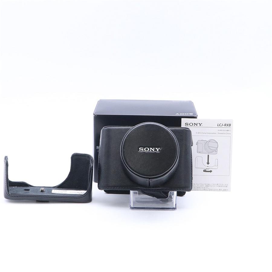 Sony LCJ-RXB ジャケットケース #6624 | SONY | 01