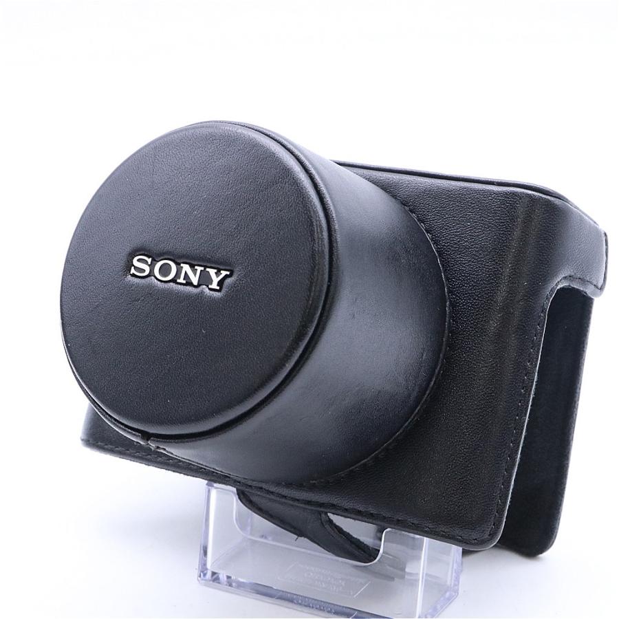 Sony LCJ-RXB ジャケットケース #6624 | SONY | 02