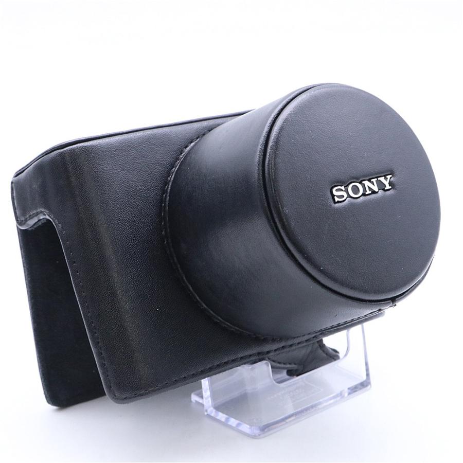 Sony LCJ-RXB ジャケットケース #6624 | SONY | 03