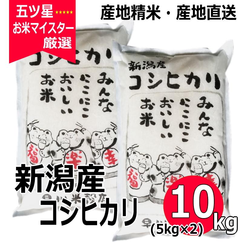 コシヒカリ 令和6年産 10kg （ 5kg ×2袋 ） 新潟県産コシヒカリ