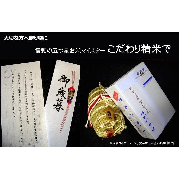 コシヒカリ 令和7年産 お米 5kg ×2袋 10kg 新潟県産コシヒカリ : 新潟