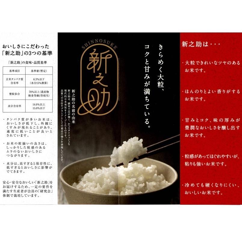 新之助 しんのすけ 令和7年産 新潟産 10kg (5kg×2) 送料無料 (本州のみ