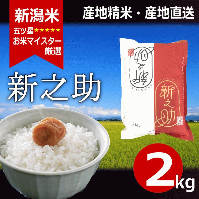 新之助 （ しんのすけ ） 令和6年産 新潟産 2kg : 新潟米 早川米穀店