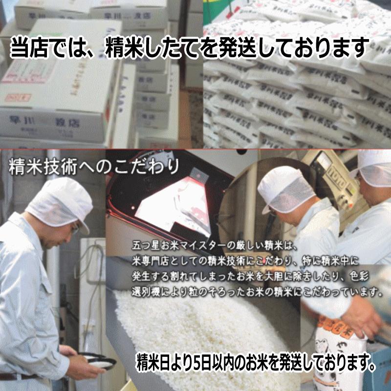 令和6年　魚沼産 コシヒカリ　5kg✖️２袋　計10kg ① 令和6年産 魚沼産コシヒカリ 5kg【特別栽培米】 | 新潟県小千谷