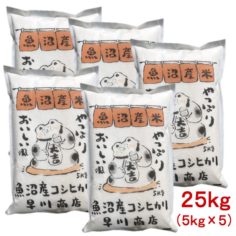 魚沼産コシヒカリ（精米） 5kg ×5袋（25kg） コシヒカリ 魚沼産コシヒカリ 25kg (5kg×5） 魚沼 こしひかり 令和6