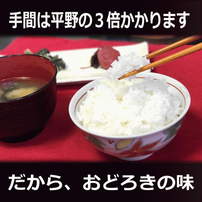 令和6年産 古米 長野県産 コシヒカリ 約18キロ 自家米 送料込 精米済み 新米 令和6年長野県東御市産コシヒカリ 白米 5kg ｜ 米・穀物/米/精米