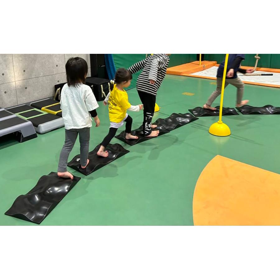 ゼット学校体育 アダプベース ZO300_2
