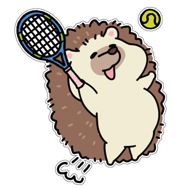 YONEX（ヨネックス） AC540 ソフトケース ラケットケース【硬式テニス
