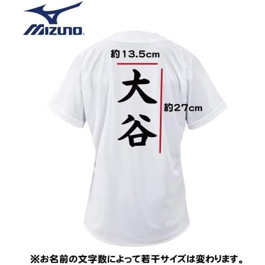 MIZUNO（ミズノ） 【左胸+背面にオーダープリント】野球 練習用