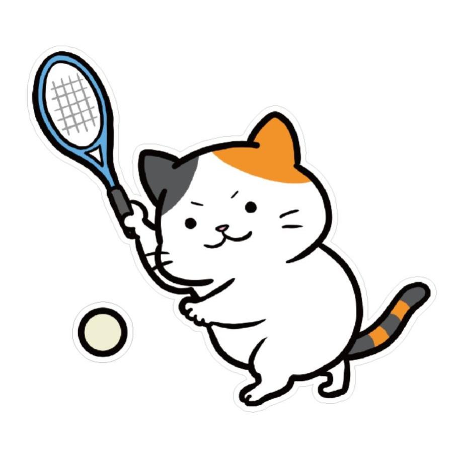 YONEX（ヨネックス） Tシャツ ドライ 半袖 ソフトテニス【ミケねこ