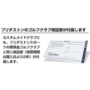 BRIDGESTONE GOLF ブリヂストン バイティングスピン ウェッジ メッキ