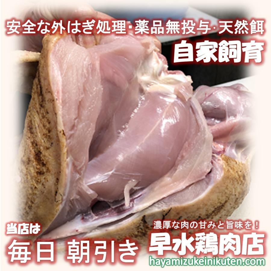 地元人気店! 売切れ続出!! 鹿児島 朝引き鶏刺し(冷凍)1Kg カット済