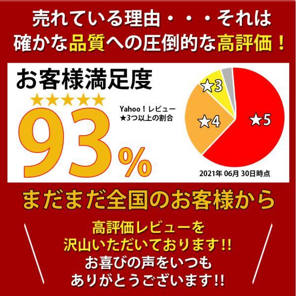 フルート 初心者 吹奏楽 練習用 ケース付き　ニッケルメッキ 入学式　誕生日 クリスマス 新年 プレゼント ギフト【PL保険加入済み】｜hayarishop｜18