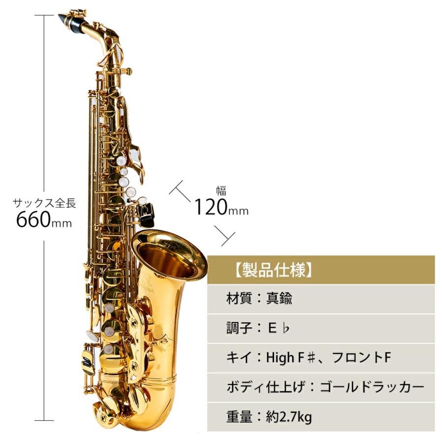 アルトサックス 初心者 入門セット 9点セットゴールドラッカー アルトサックス 初心者 入門セット 9点セットゴールドラッカー