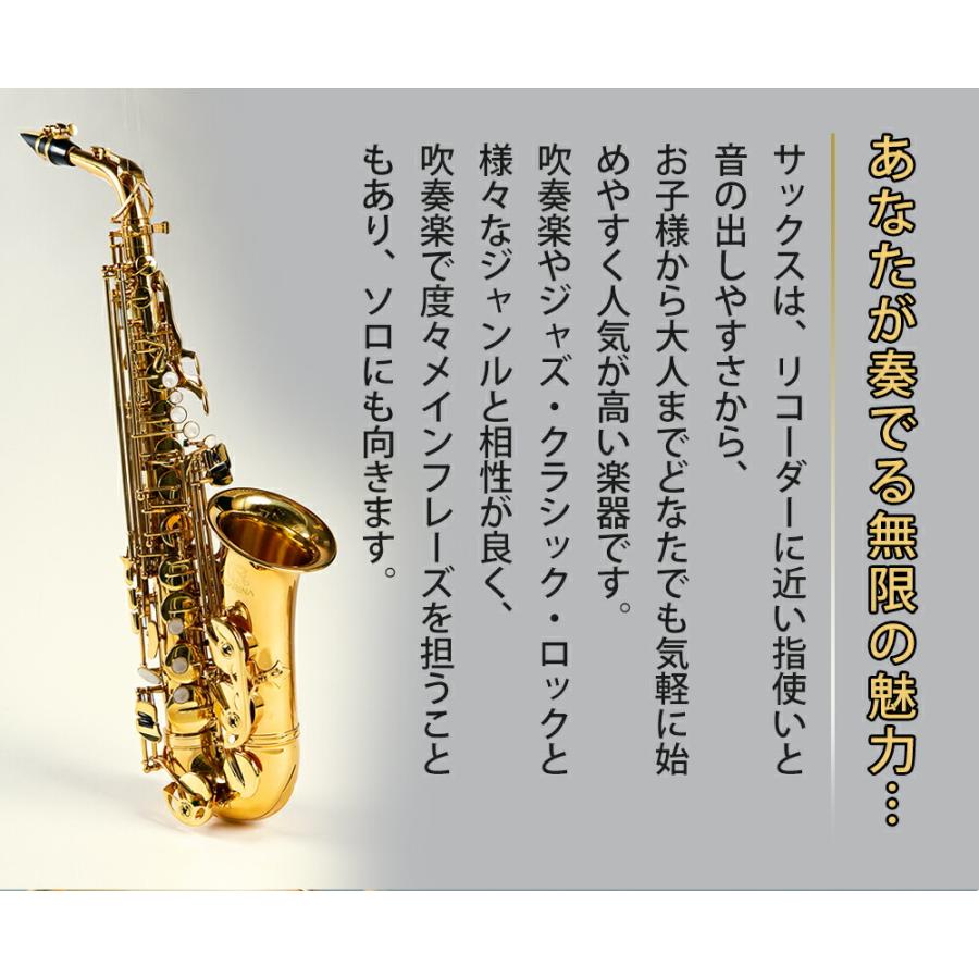 アルトサックス 初心者 入門セット 9点セットゴールドラッカー アルトサックス 初心者 入門セット 9点セットゴールドラッカー