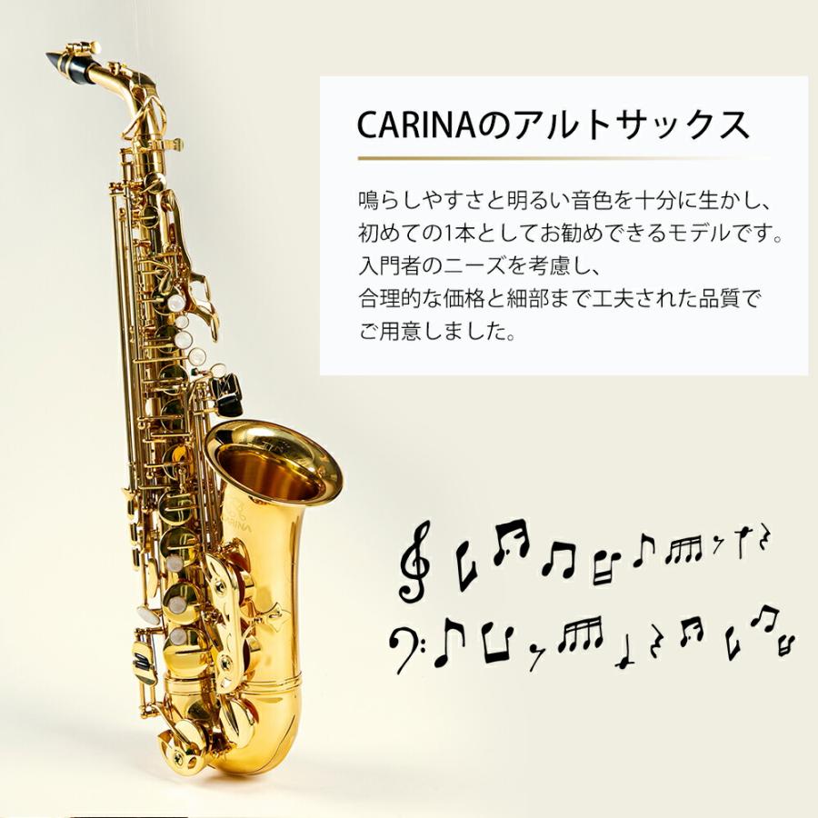 アルトサックス 初心者 入門セット 9点セットゴールドラッカー アルトサックス 初心者 入門セット 9点セットゴールドラッカー