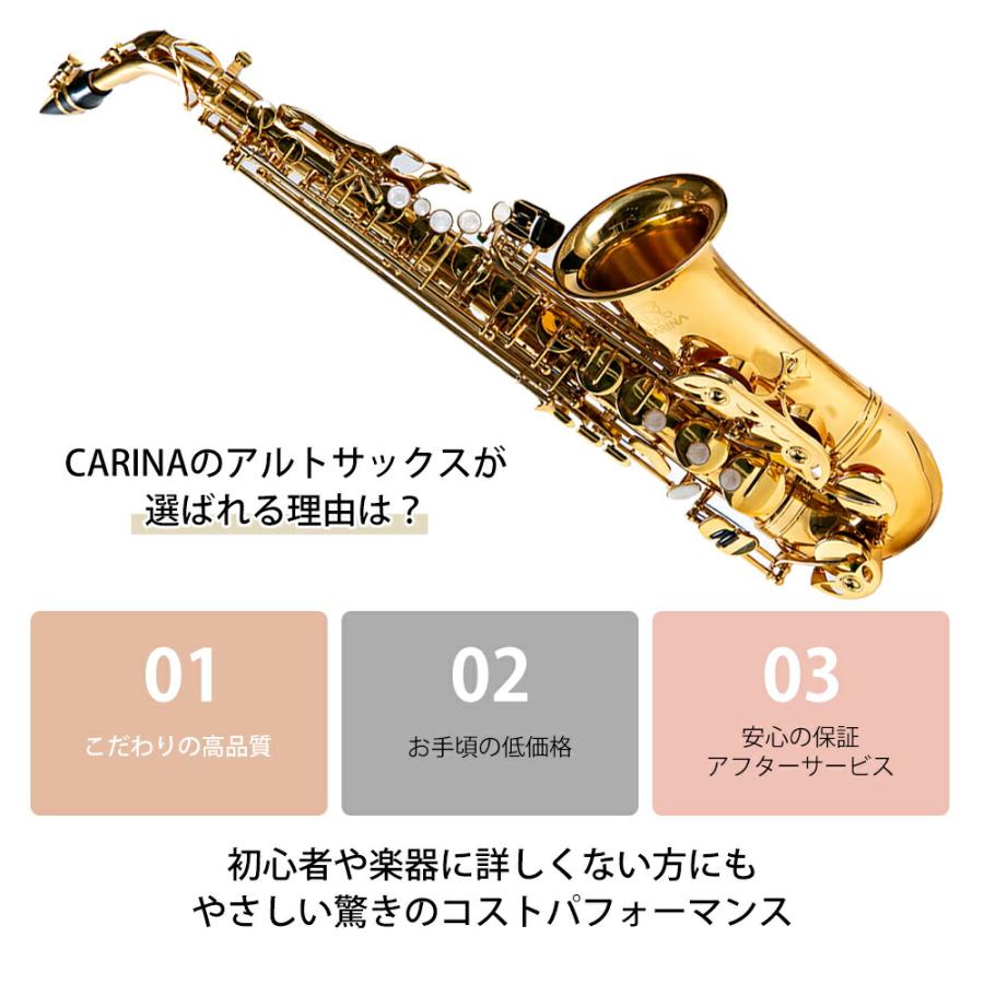 アルトサックス 初心者 入門セット 9点セットゴールドラッカー アルトサックス 初心者 入門セット 9点セットゴールドラッカー