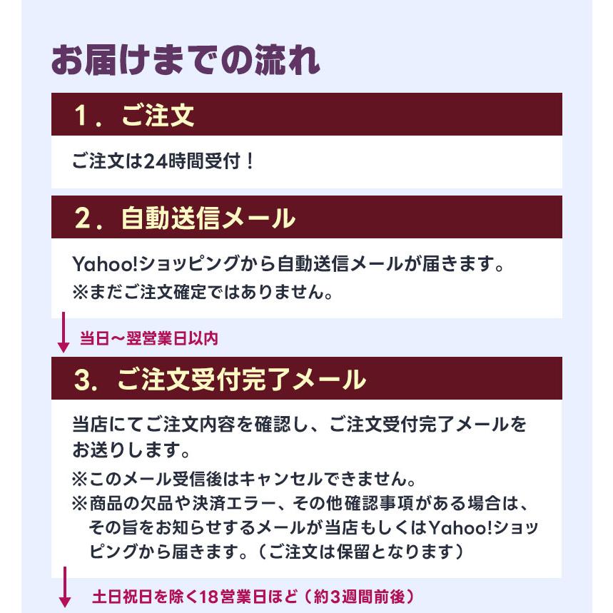 地域限定送料無料　アシスタ　8,9AH　子供乗せ　濃茶　神戸市　電動自転車 Assista (地域限定販売) 電動自転車 子供乗せ ブリヂストン