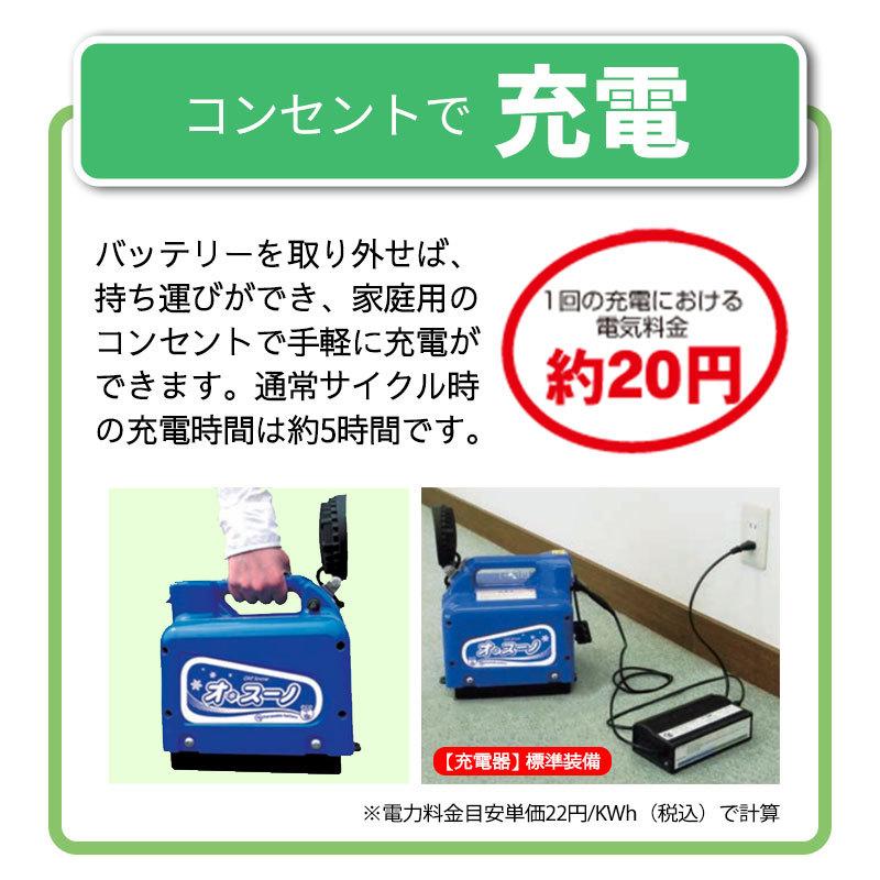 個人宅配送OK) 除雪機 家庭用 充電式 電動 オスーノDX オ 個人宅配送OK) 除雪機 家庭用 充電式 電動 オスーノDX オ