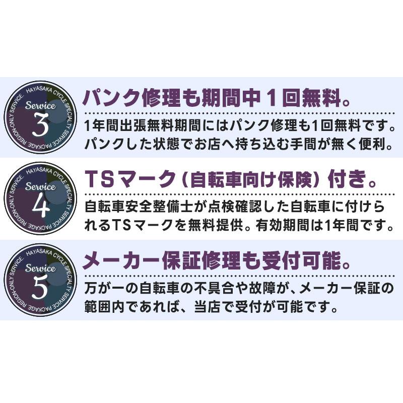 FRONTIA (地域限定販売) 電動自転車 ブリヂストン フロンティア FRONTIA (地域限定販売) 電動自転車 ブリヂストン フロンティア
