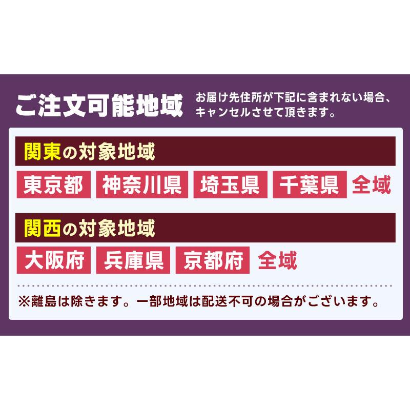 FRONTIA (地域限定販売) 電動自転車 ブリヂストン フロンティア FRONTIA (地域限定販売) 電動自転車 ブリヂストン フロンティア